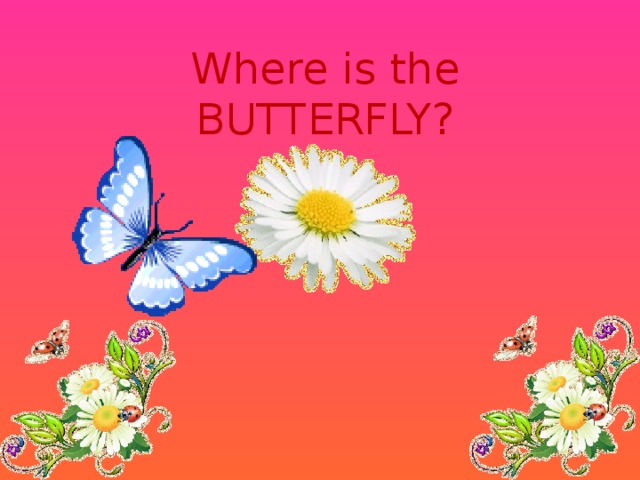 Where is the BUTTERFLY?