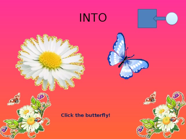 INTO Click the butterfly!
