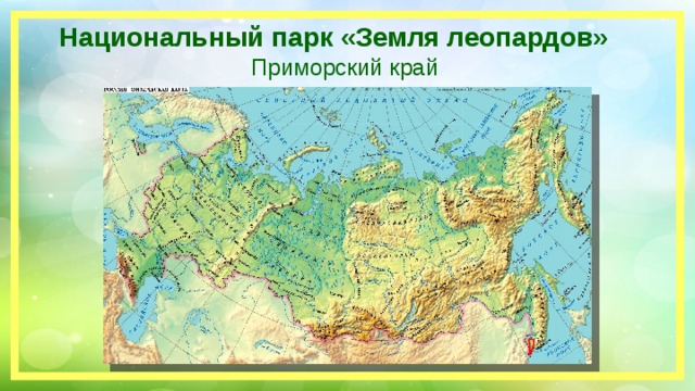 Национальный парк «Земля леопардов» Приморский край