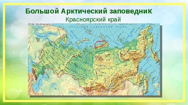 Большой Арктический заповедни к Красноярский край