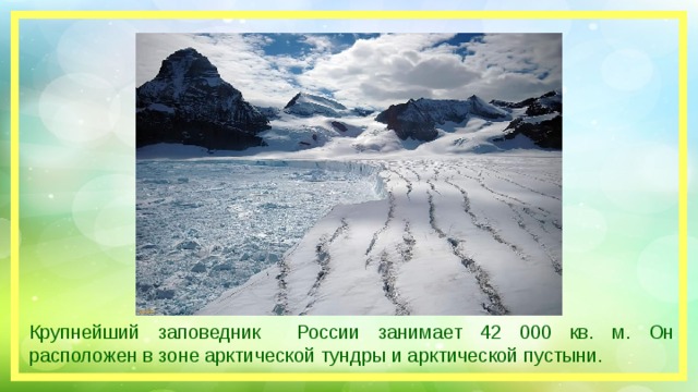 Крупнейший заповедник России занимает 42 000 кв. м. Он расположен в зоне арктической тундры и арктической пустыни.