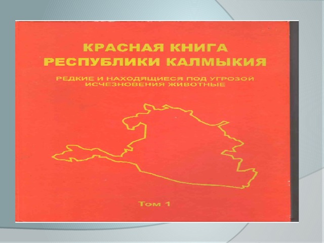 Красная книга Калмыкии В неё занесены редкие и исчезающие виды птиц Калмыкии