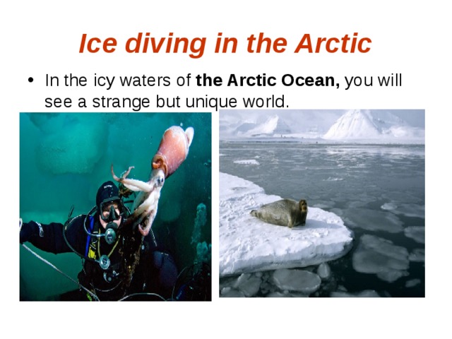 Ice diving in the Arctic