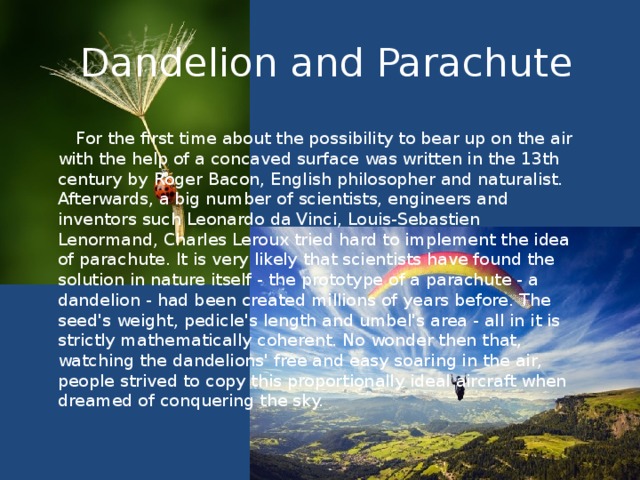 Dandelion and Parachute  For the first time about the possibility to bear up on the air with the help of a concaved surface was written in the 13th century by Roger Bacon, English philosopher and naturalist. Afterwards, a big number of scientists, engineers and inventors such Leonardo da Vinci, Louis-Sebastien Lenormand, Charles Leroux tried hard to implement the idea of parachute. It is very likely that scientists have found the solution in nature itself - the prototype of a parachute - a dandelion - had been created millions of years before. The seed's weight, pedicle's length and umbel's area - all in it is strictly mathematically coherent. No wonder then that, watching the dandelions' free and easy soaring in the air, people strived to copy this proportionally ideal aircraft when dreamed of conquering the sky.