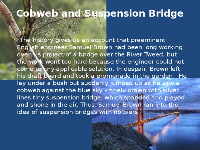 Cobweb and Suspension Bridge    The history gives us an account that preeminent English engineer Samuel Brown had been long working over his project of a bridge over the River Tweed, but the work went too hard because the engineer could not come to any applicable solution. In despair, Brown left his draft board and took a promenade in the garden. He lay under a bush but suddenly jumped up as he saw a cobweb against the blue sky – finely drawn with silver lines tiny suspension bridge, which sparkled and played and shone in the air. Thus, Samuel Brown ran into the idea of suspension bridges with no piers.