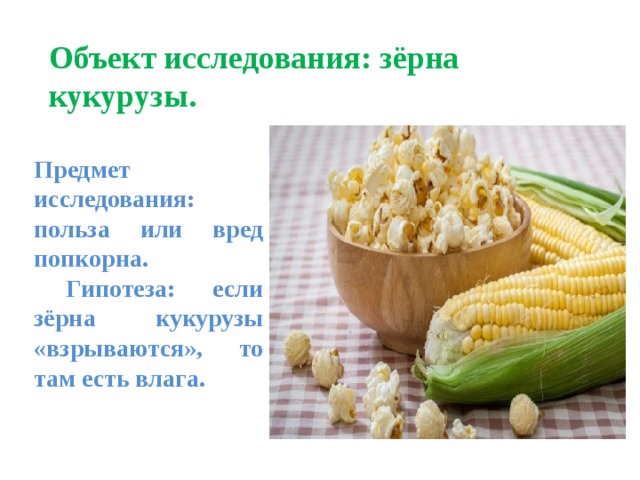 Объект исследования: зёрна кукурузы. Предмет исследования: польза или вред попкорна.  Гипотеза: если зёрна кукурузы «взрываются», то там есть влага.