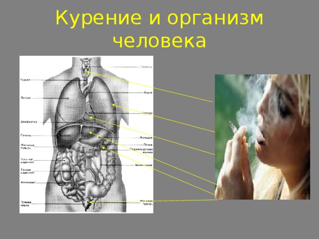 Курение и организм человека