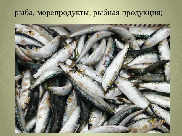 рыба, морепродукты, рыбная продукция;