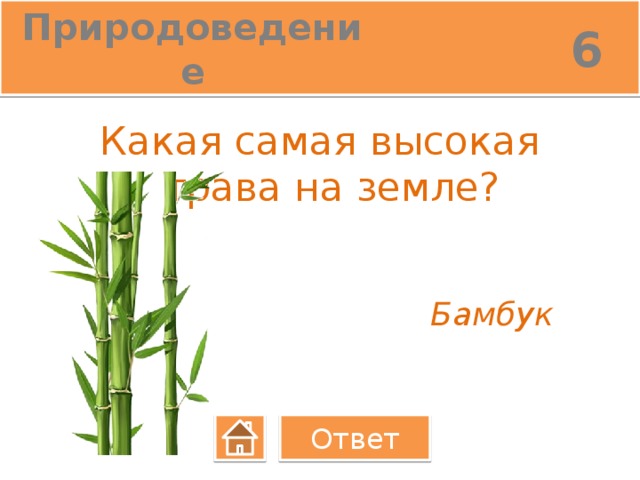 6 Природоведение Какая самая высокая трава на земле? Бамбук Ответ