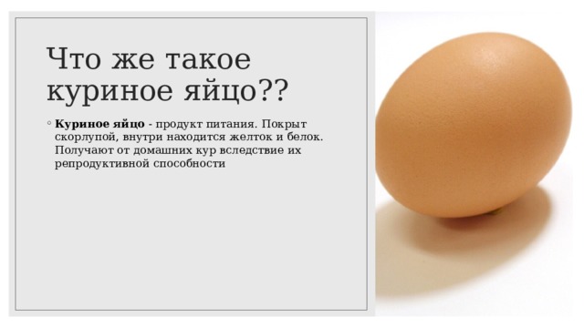 Что же такое куриное яйцо??