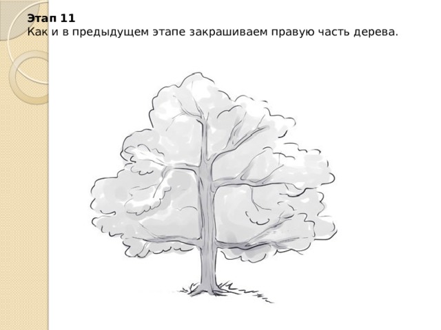 Этап 11  Как и в предыдущем этапе закрашиваем правую часть дерева.
