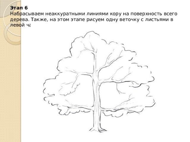 Этап 6  Набрасываем неаккуратными линиями кору на поверхность всего дерева. Также, на этом этапе рисуем одну веточку с листьями в левой части дерева.