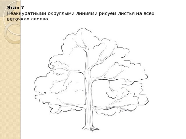 Этап 7  Неаккуратными округлыми линиями рисуем листья на всех веточках дерева.