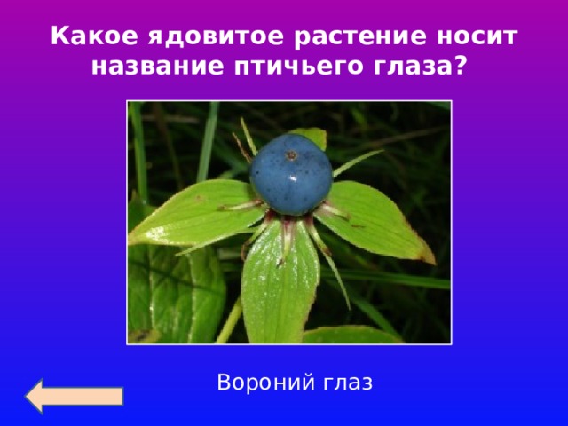 Какое ядовитое растение носит название птичьего глаза? Вороний глаз