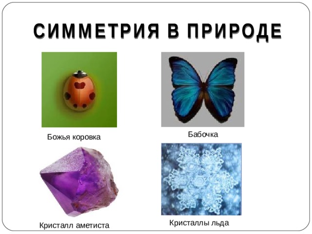 Бабочка Божья коровка Кристаллы льда Кристалл аметиста