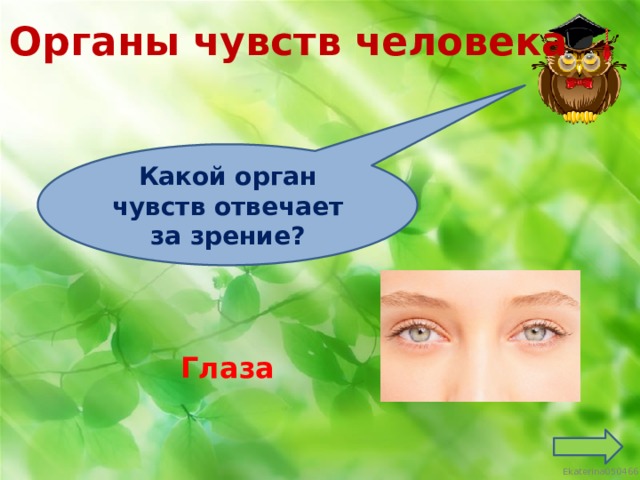 Органы чувств человека Какой орган чувств отвечает за зрение? Глаза