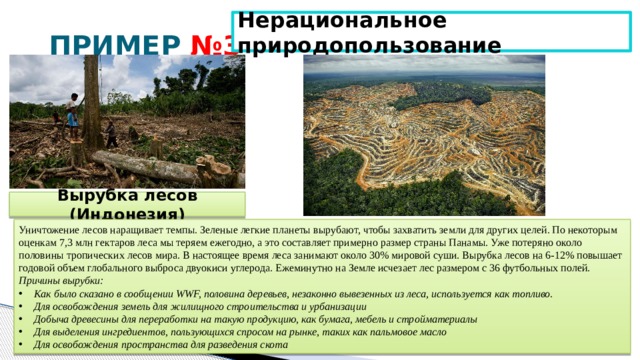 Проект о подробнее о лесных опасностях по окружающему миру