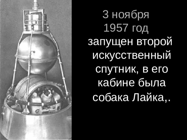 3 ноября  1957 год  запущен второй искусственный спутник, в его кабине была собака Лайка ,.
