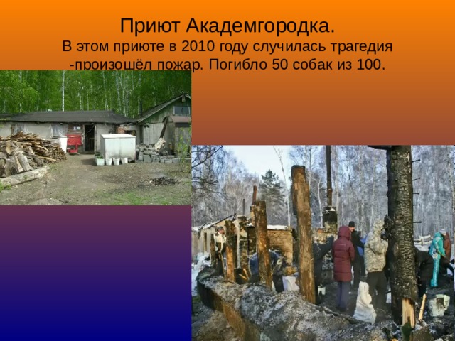 Приют Академгородка.  В этом приюте в 2010 году случилась трагедия -произошёл пожар. Погибло 50 собак  из 100.
