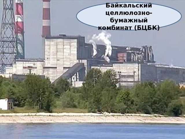 Байкальский целлюлозно-бумажный комбинат (БЦБК)