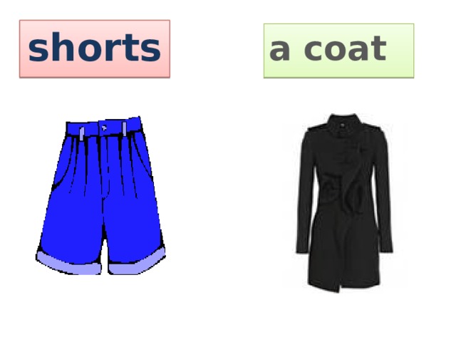 shorts a coat