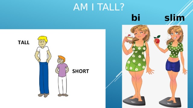 am I tall? slim big