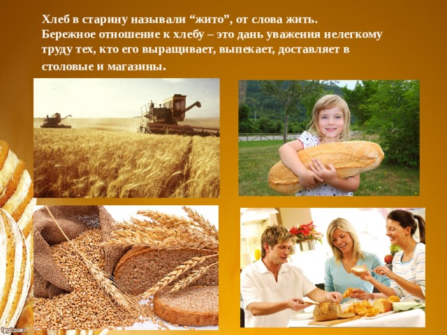 Хлеб в старину называли “жито”, от слова жить. Бережное отношение к хлебу – это дань уважения нелегкому труду тех, кто его выращивает, выпекает, доставляет в столовые и магазины .