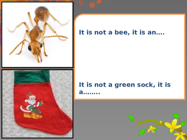 It is not a bee, it is an….       It is not a green sock, it is a……..