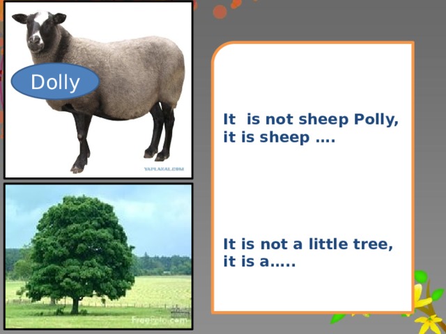 It is not sheep Polly, it is sheep …. It is not a little tree, it is a….. Dolly