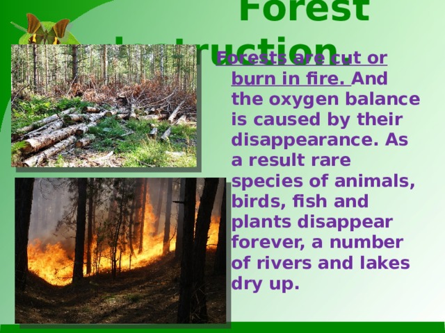 Forest destruction. Forests are cut or burn in fire. And the oxygen balance is caused by their disappearance. As a result rare species of animals, birds, fish and plants disappear forever, a number of rivers and lakes dry up.
