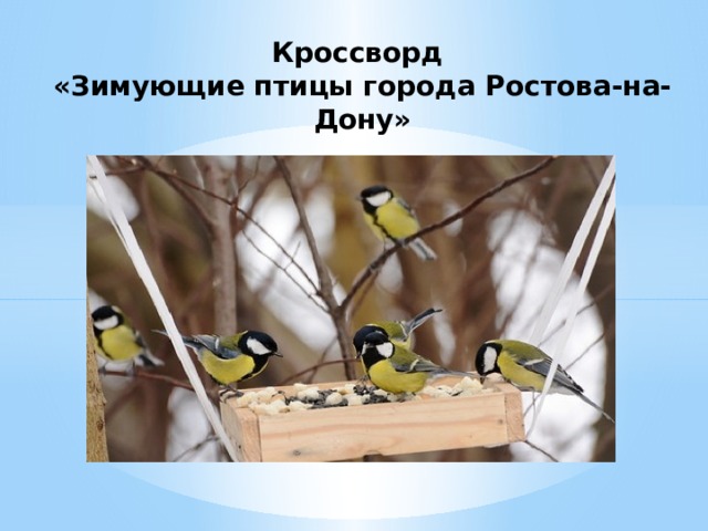 Кроссворд «Зимующие птицы города Ростова-на-Дону»