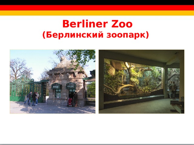Berliner Zoo  (Берлинский зоопарк)