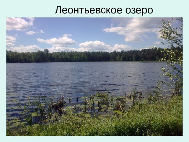 Леонтьевское озеро