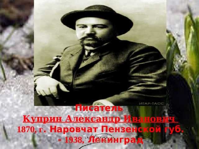 Писатель   Куприн Александр Иванович   1870, г . Наровчат Пензенской губ. - 1938, Ленинград