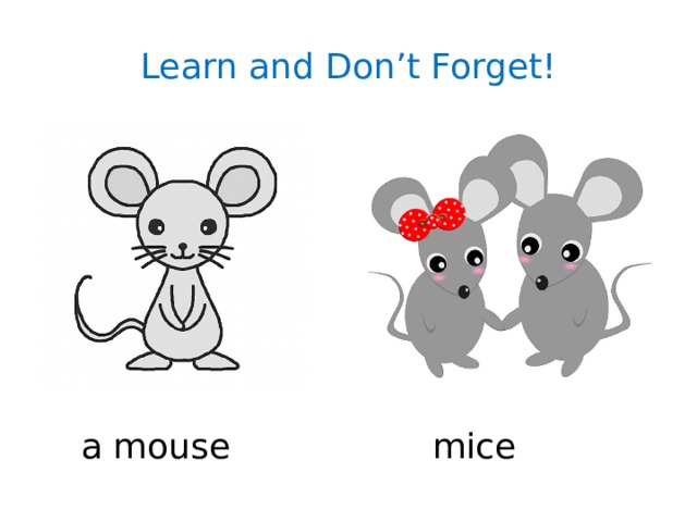 Learn and Don’t Forget! a mouse mice