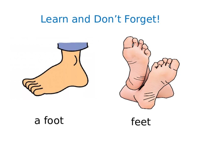 Learn and Don’t Forget! a foot feet