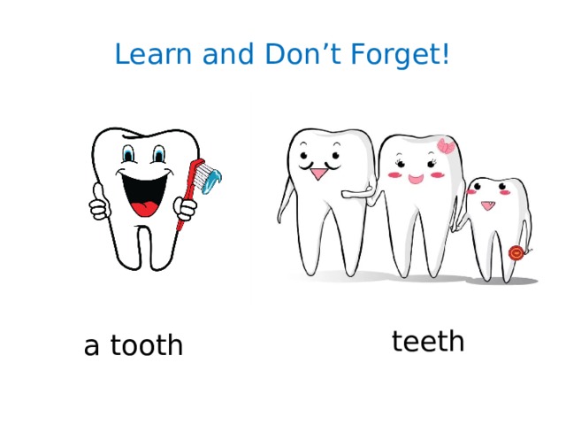 Learn and Don’t Forget! teeth a tooth