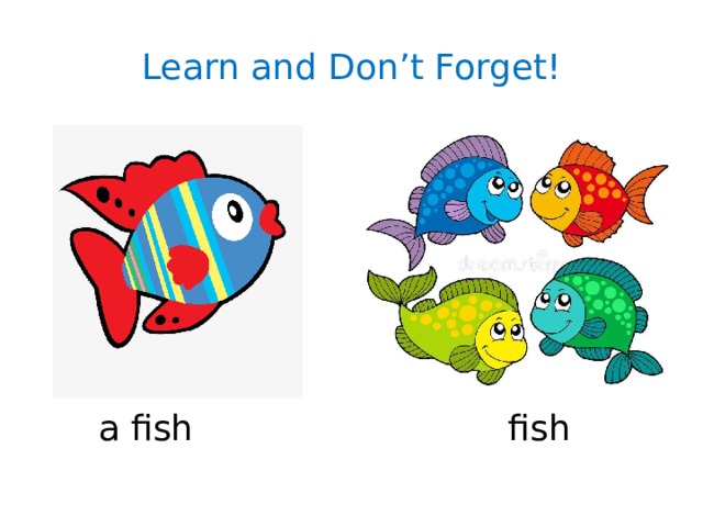 Learn and Don’t Forget! a fish fish