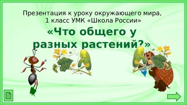 Презентация к уроку окружающего мира,  1 класс УМК «Школа России» «Что общего у разных растений?»