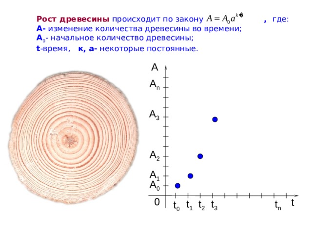 Рост древесины  происходит по закону   , где:   A - изменение количества древесины во времени;   A 0 - начальное количество древесины;   t -время, к, а- некоторые постоянные. А A n A 3 A 2 A 1 A 0 0 t t 3 t 1 t 2 t n t 0