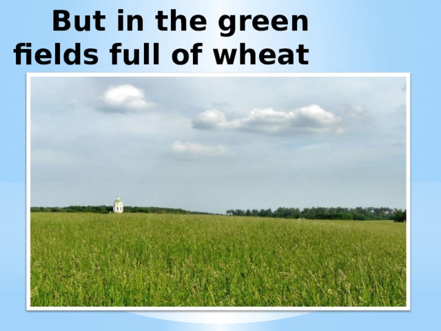 But in the green fields full of wheat