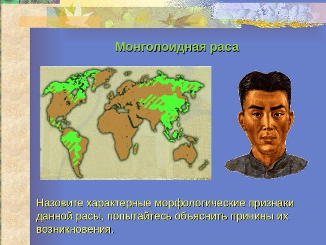 Монголоидная  раса Назовите характерные морфологические признаки данной расы, попытайтесь объяснить причины их возникновения.