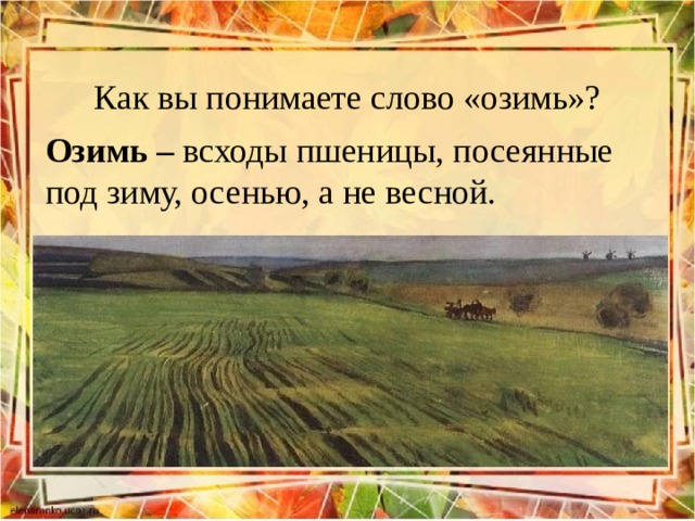 Как вы понимаете слово «озимь»? Озимь – всходы пшеницы, посеянные под зиму, осенью, а не весной.