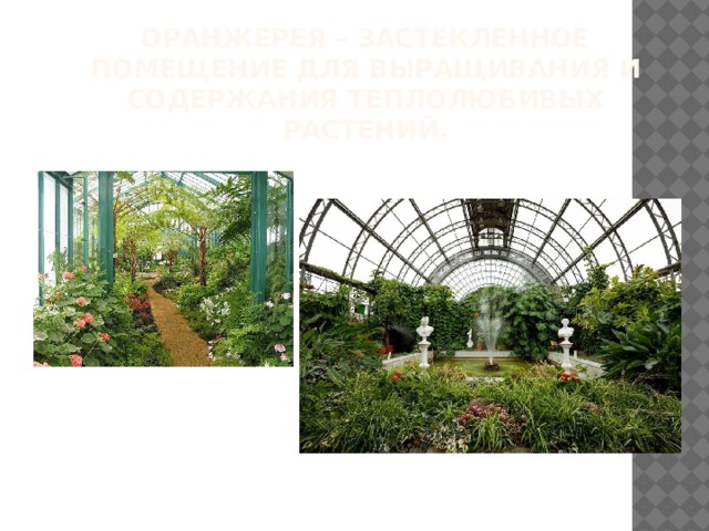 Оранжерея – застекленное помещение для выращивания и содержания теплолюбивых растений.