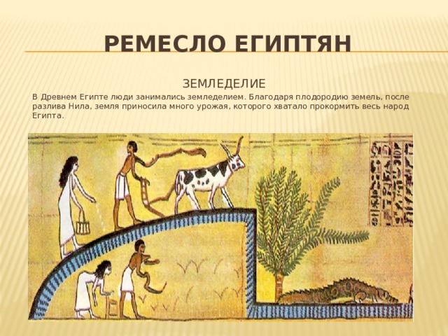 РЕМЕСЛО египтян ЗЕМЛЕДЕЛИЕ В Древнем Египте люди занимались земледелием. Благодаря плодородию земель, после разлива Нила, земля приносила много урожая, которого хватало прокормить весь народ Египта.