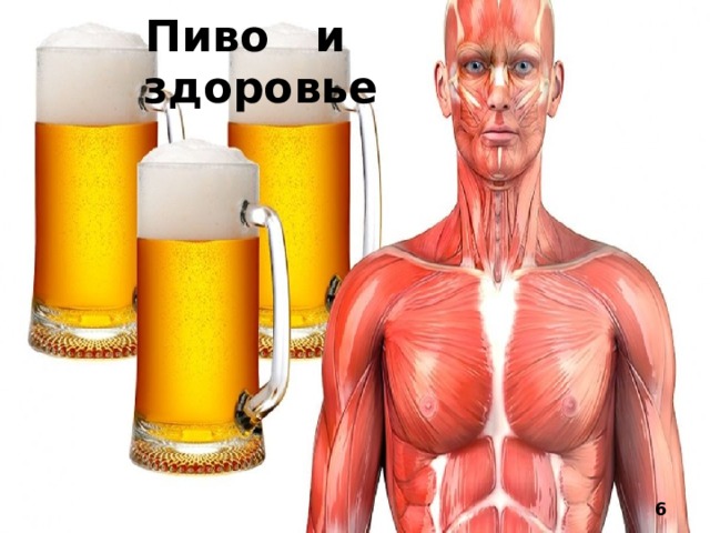 Пиво и здоровье