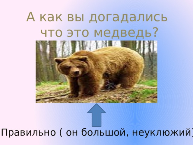А как вы догадались  что это медведь? Правильно ( он большой, неуклюжий).