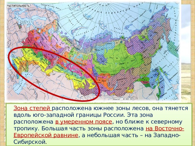 ʹ  Зона степей расположена южнее зоны лесов, она тянется вдоль юго-западной границы России. Эта зона расположена в умеренном поясе , но ближе к северному тропику. Большая часть зоны расположена на Восточно-Европейской равнине , а небольшая часть – на Западно-Сибирской .