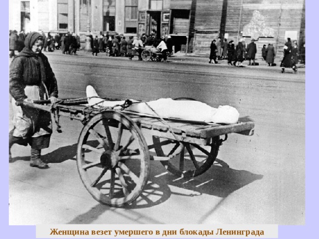 Женщина везет умершего в дни блокады Ленинграда