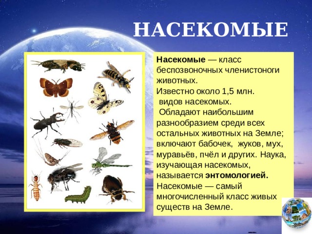 НАСЕКОМЫЕ Насекомые  — класс беспозвоночных членистоноги животных. Известно около 1,5 млн.   видов насекомых.  Обладают наибольшим разнообразием среди всех остальных животных на Земле; включают бабочек,  жуков, мух, муравьёв, пчёл и других. Наука, изучающая насекомых, называется  энтомологией. Насекомые — самый многочисленный класс живых существ на Земле. Чтобы вернуться к следующему вопросу нажмите на изображение глобуса в правом нижнем углу на изображение глобуса.